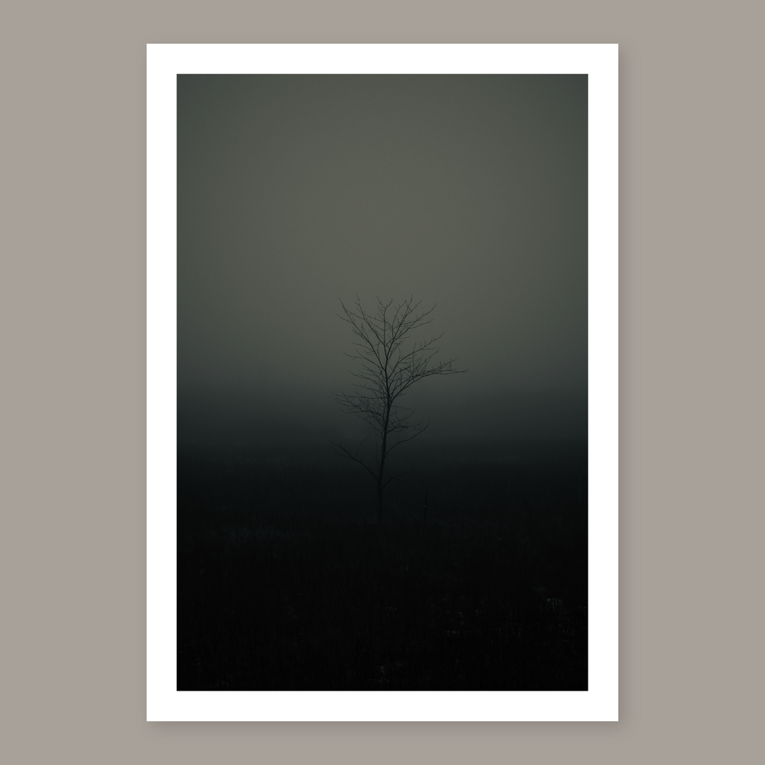 009