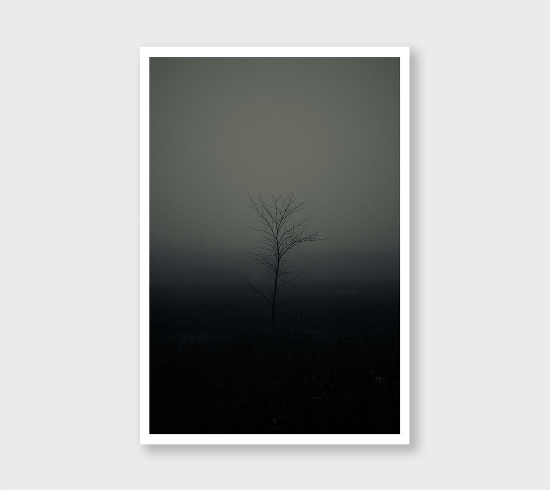 009